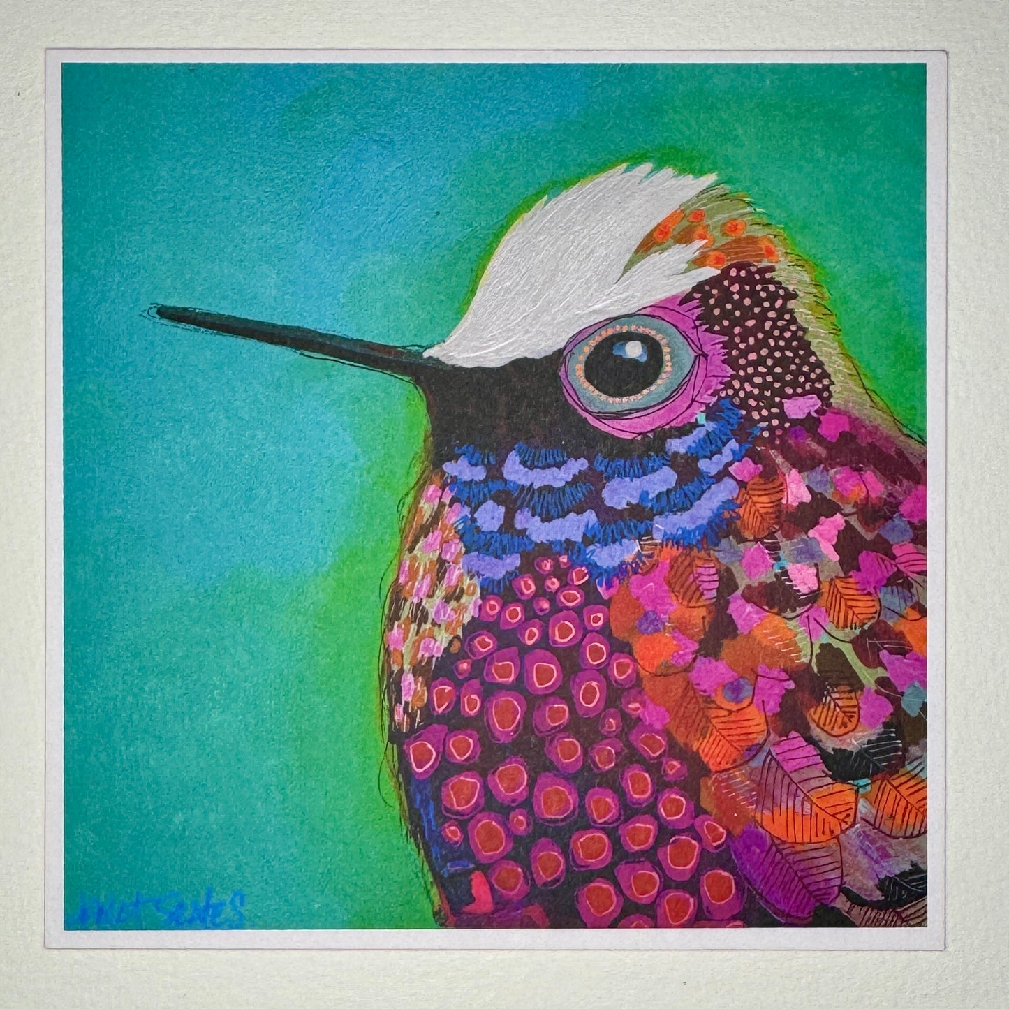 Hummingbird Card Collection