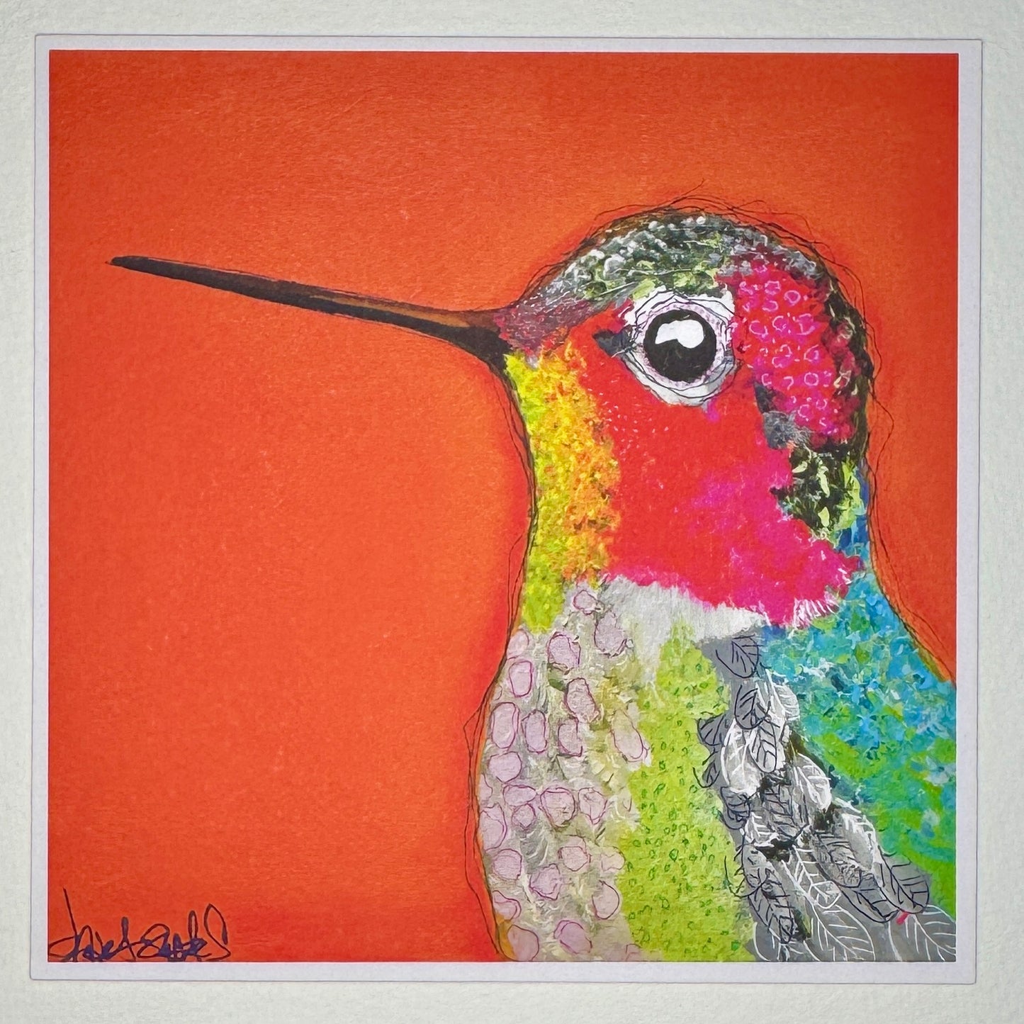 Hummingbird Card Collection