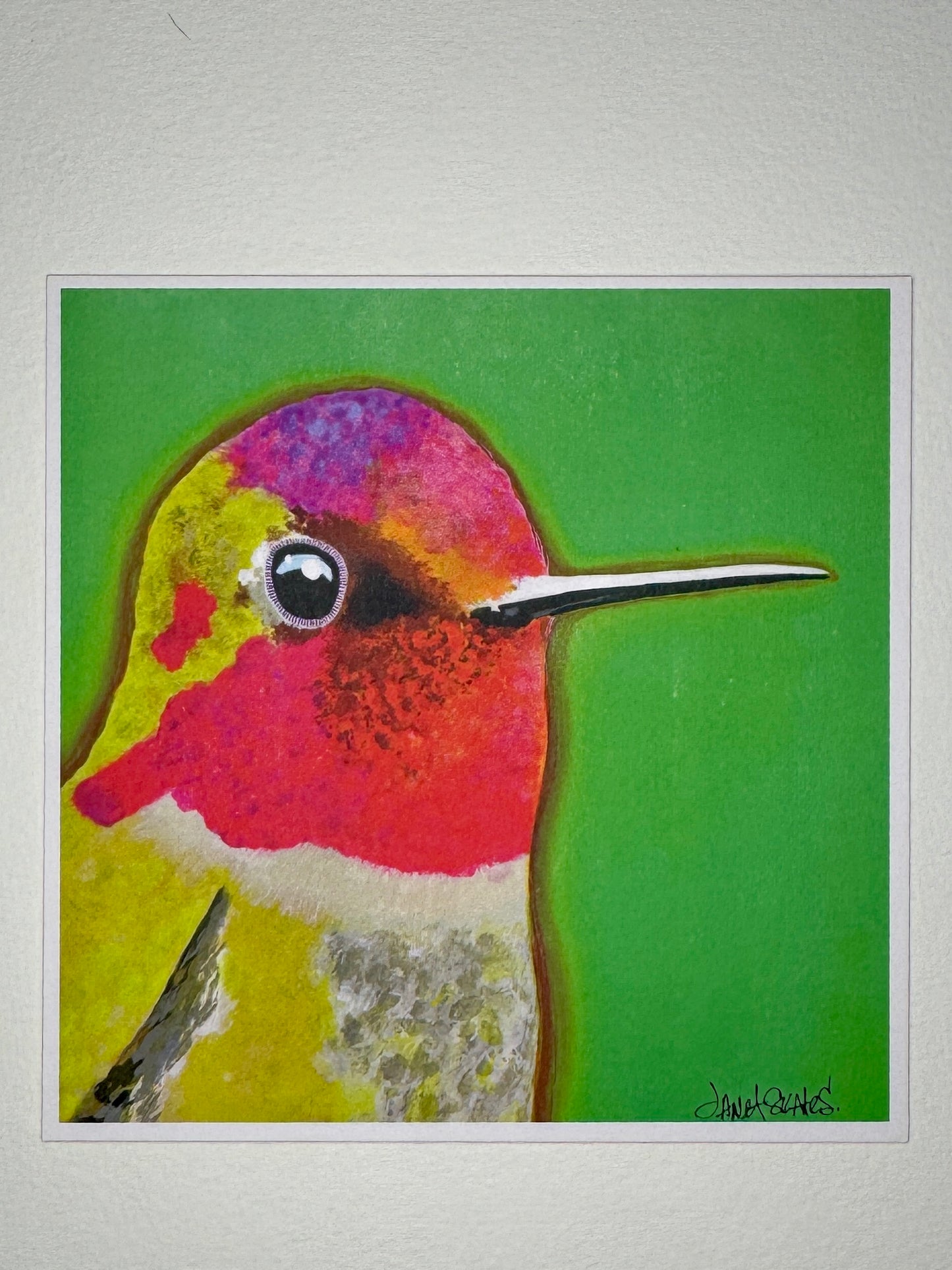 Hummingbird Card Collection