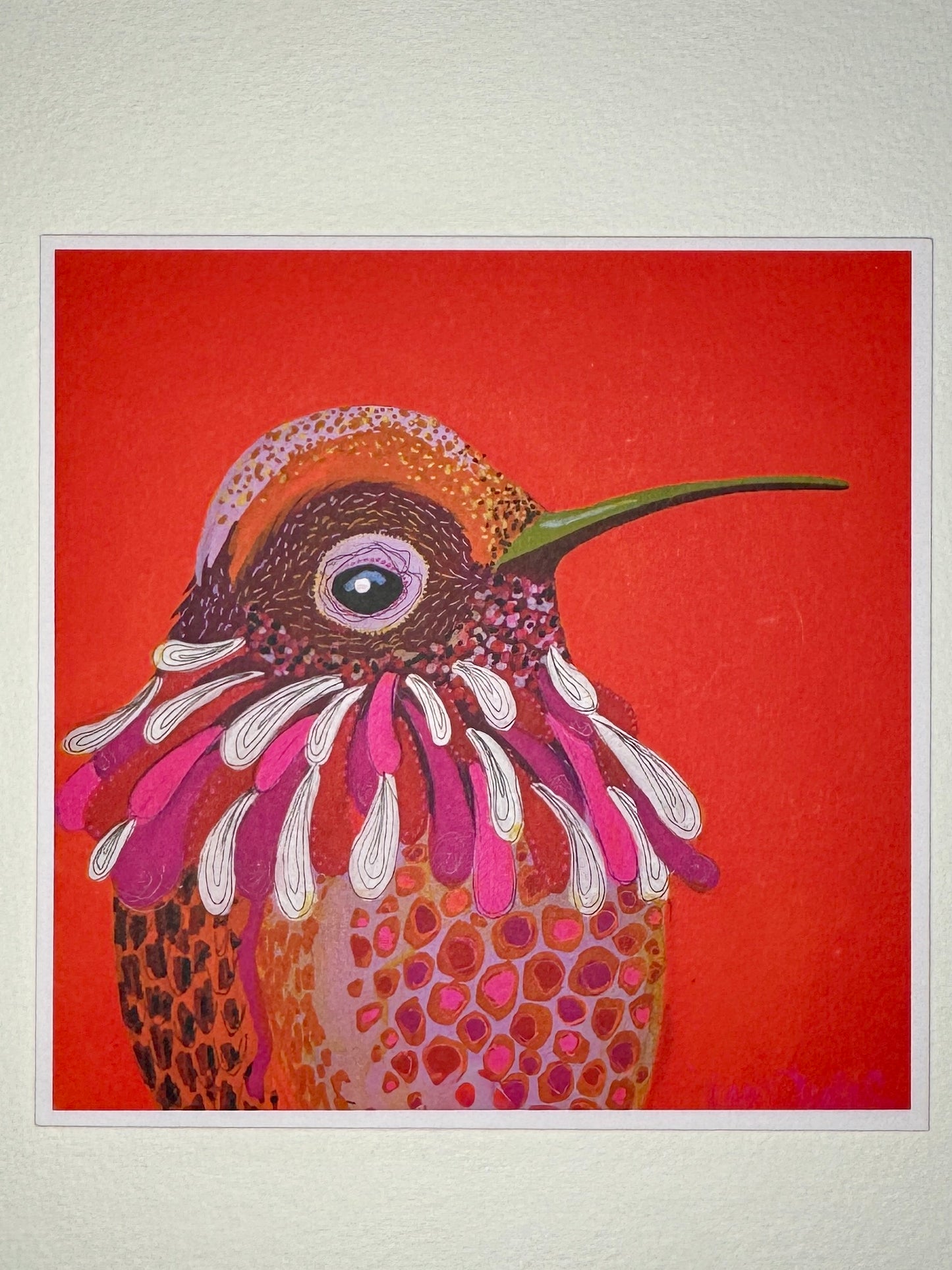 Hummingbird Card Collection