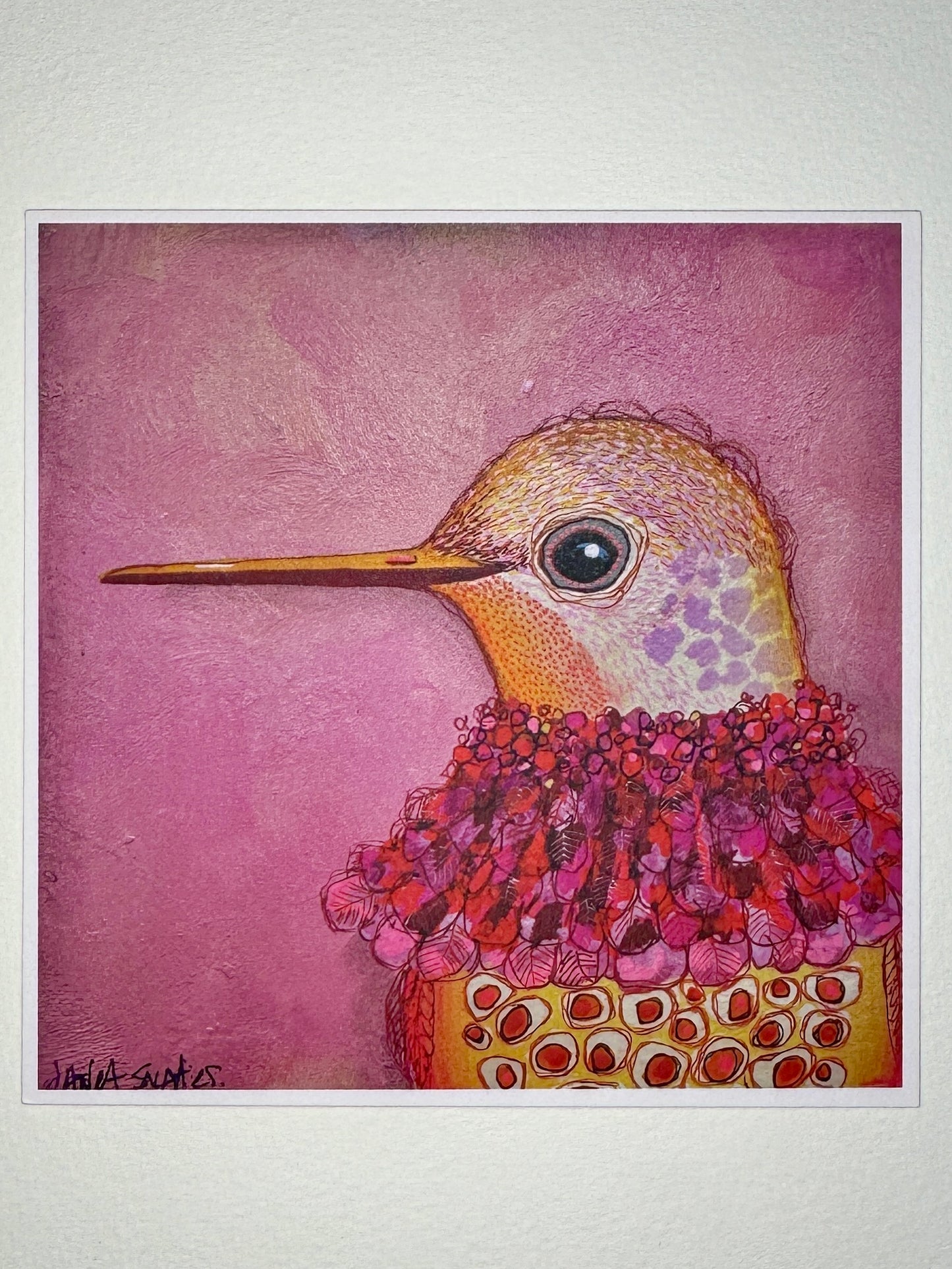 Hummingbird Card Collection