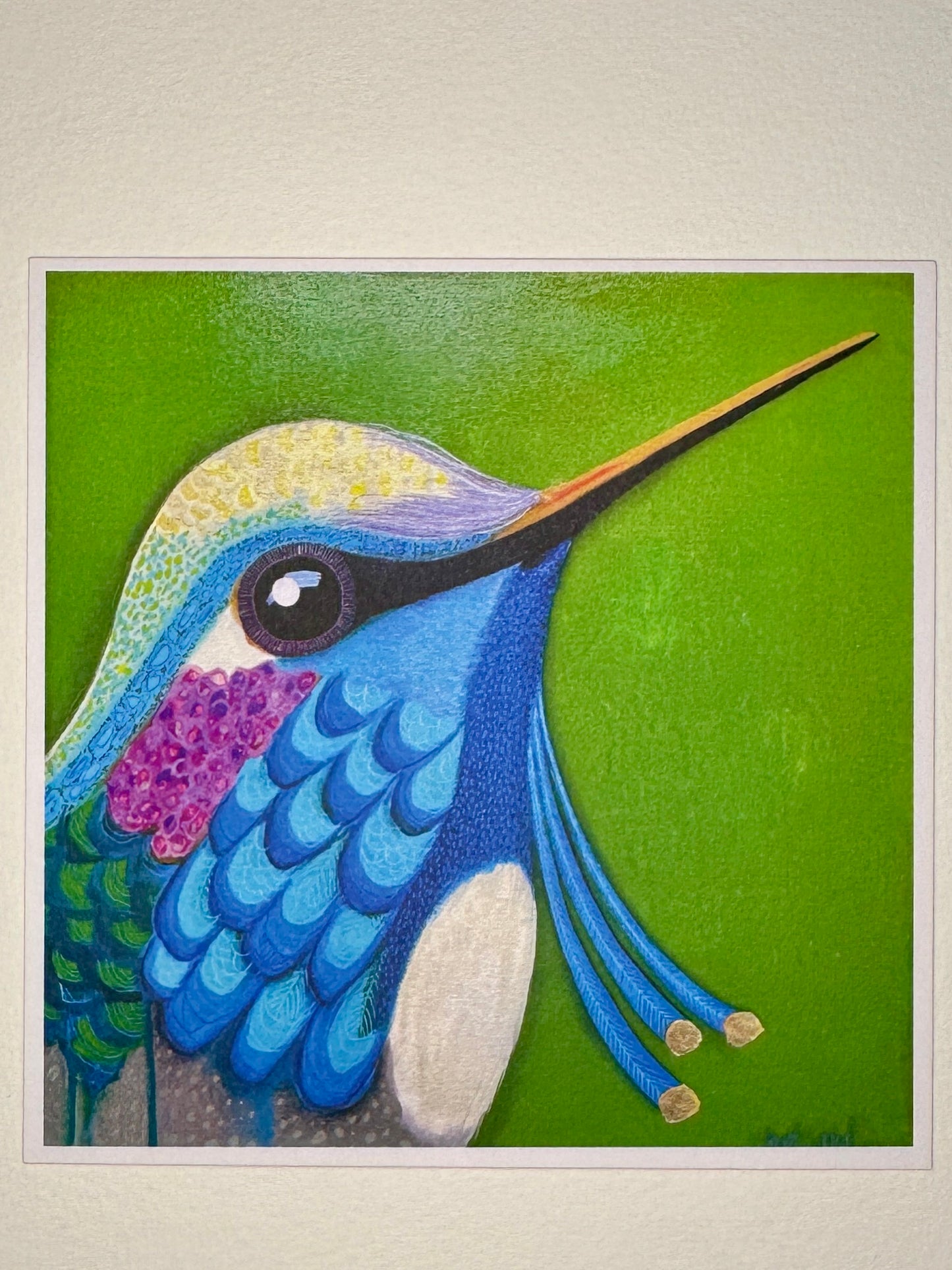 Hummingbird Card Collection