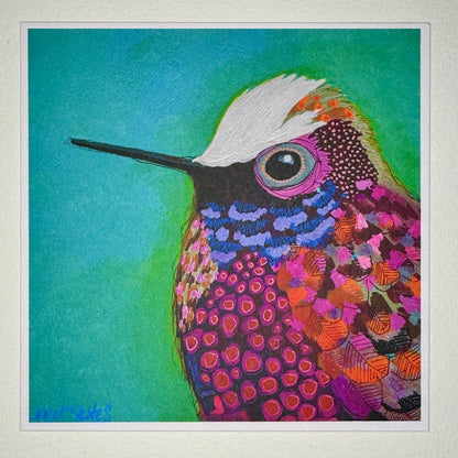 Hummingbird Card Collection