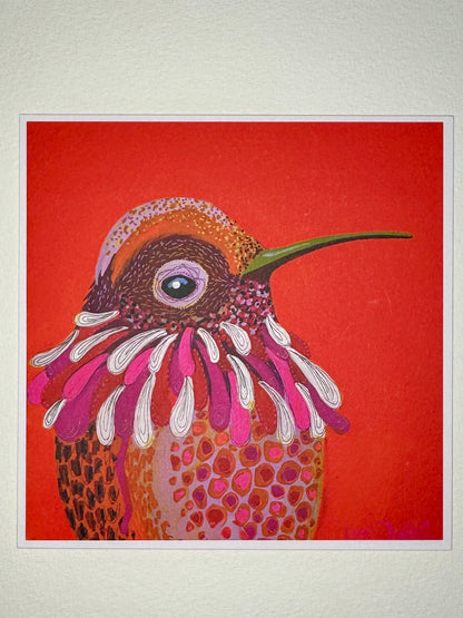 Hummingbird Card Collection