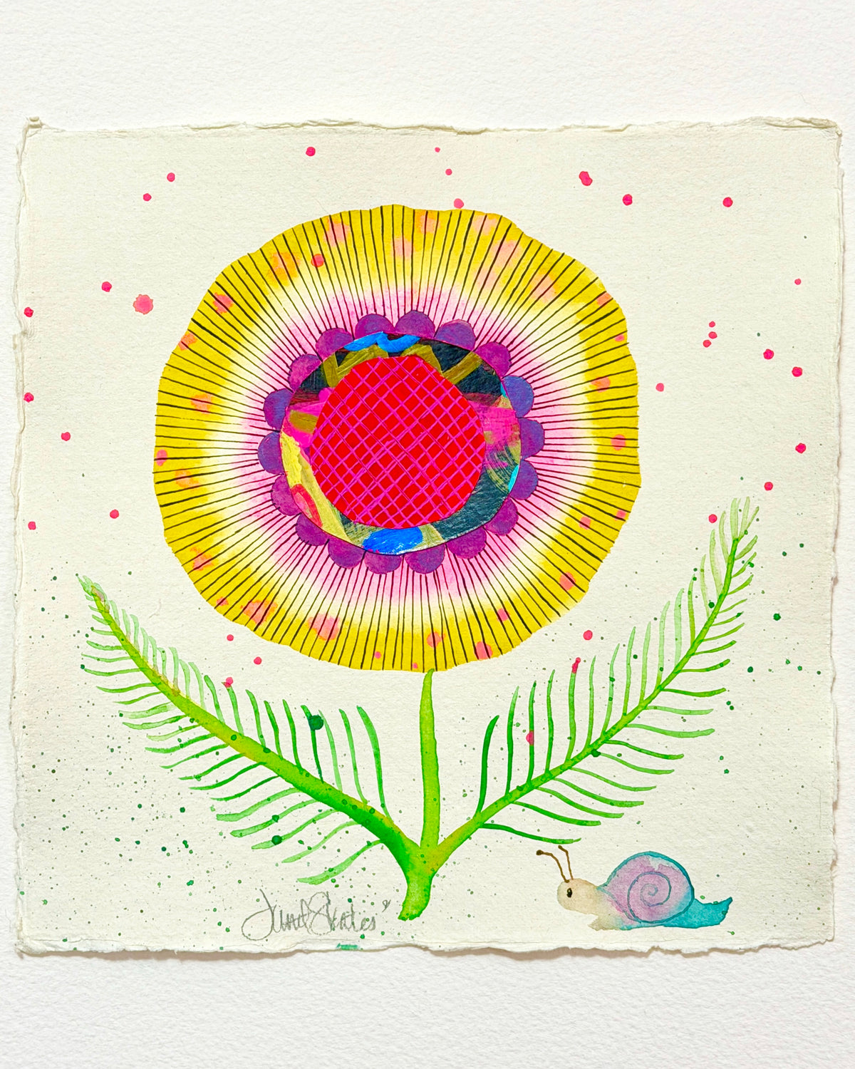 Morning Glory